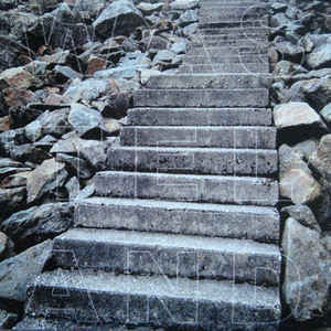 Wasteland (19) : Wasteland (LP, Red)